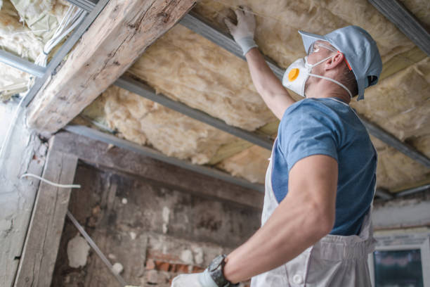 Best Insulation Maintenance and Repair in Sparrow Bush, NY