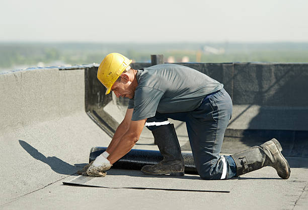 Best Residential Insulation in Sparrow Bush, NY